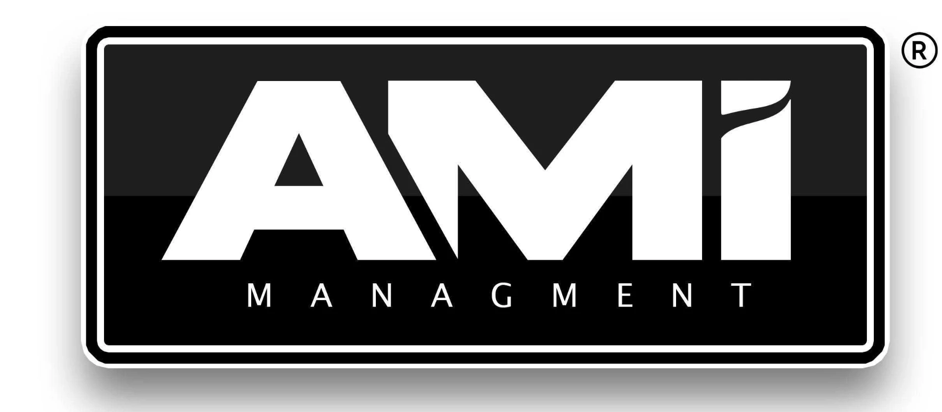 AMI Facility Services